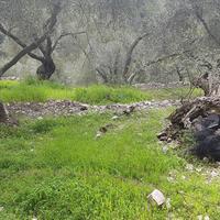Land plot in Greece