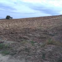 Land plot in Greece, 16313 sq.m.