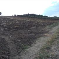 Land plot in Greece, 16313 sq.m.