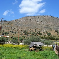 Land plot in Greece