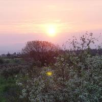 Земельный участок в Греции