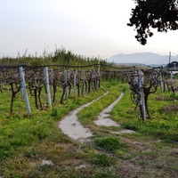 Земельный участок в Греции