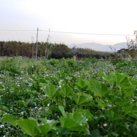 Земельный участок в Греции