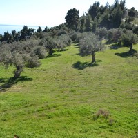 Земельный участок в Греции