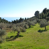 Земельный участок в Греции