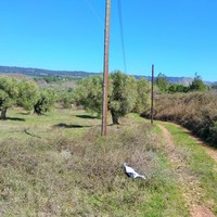 Земельный участок в Греции