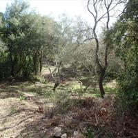 Земельный участок в Греции