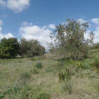 Земельный участок в Греции