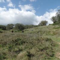 Земельный участок в Греции