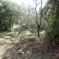 Земельный участок в Греции