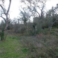 Земельный участок в Греции