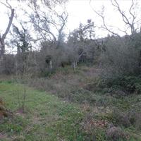 Земельный участок в Греции