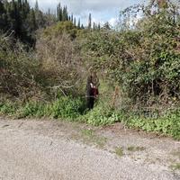 Земельный участок в Греции