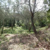 Земельный участок в Греции