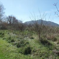 Земельный участок в Греции