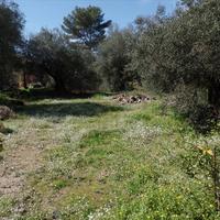 Земельный участок в Греции