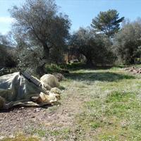 Земельный участок в Греции