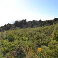 Земельный участок в Греции