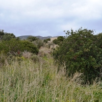 Вилла в Греции, 480 кв.м.