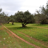 Земельный участок в Греции