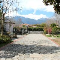 Другое в Греции, 200 кв.м.