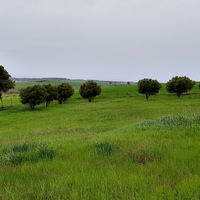 Земельный участок в Греции