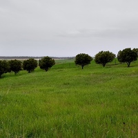 Земельный участок в Греции