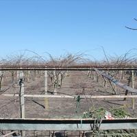 Other in Greece, 100 sq.m.