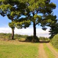 Земельный участок в Греции