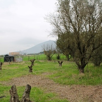 Land plot in Greece