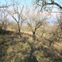 Земельный участок в Греции