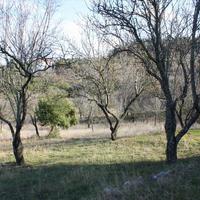 Земельный участок в Греции