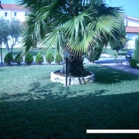 Townhouse in Greece, 75 sq.m.