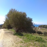 Land plot in Greece