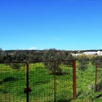 Land plot in Greece