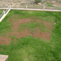 Villa in Republic of Cyprus, 330 sq.m.