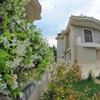 Другое в Греции, 200 кв.м.