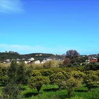 Земельный участок в Греции