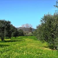 Земельный участок в Греции