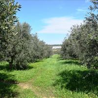 Земельный участок в Греции