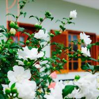 Other in Greece, 300 sq.m.