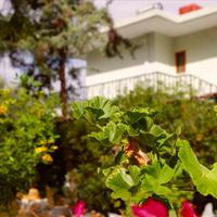 Other in Greece, 300 sq.m.