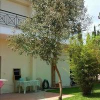 Other in Greece, 350 sq.m.