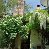 Other in Greece, 350 sq.m.