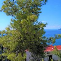 Townhouse in Greece, 119 sq.m.