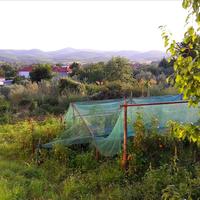 Другое в Греции, 260 кв.м.