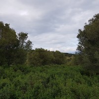 Земельный участок в Греции