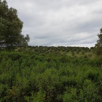 Земельный участок в Греции