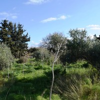 Land plot in Greece