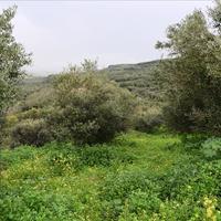 Земельный участок в Греции